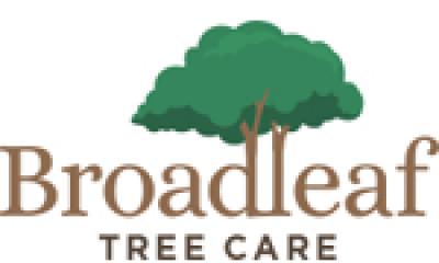 Broadleaf Tree Care (1327414)